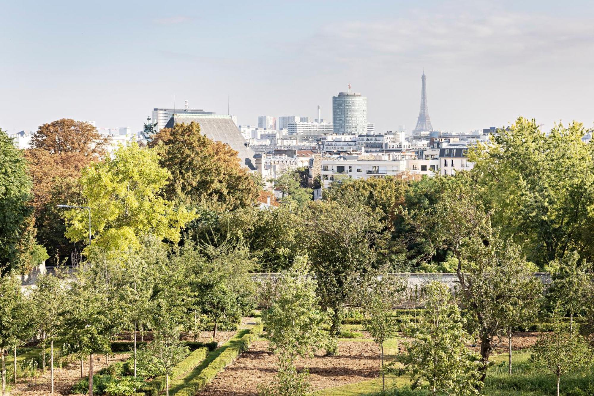 Domaine Reine Margot Paris - Issy Mgallery Collection Zewnętrze zdjęcie
